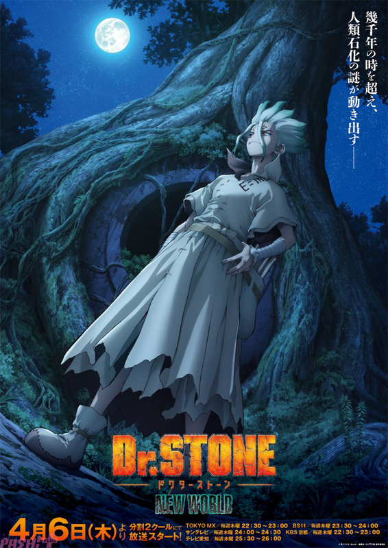drstone-nw