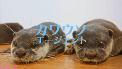 画像素材1016