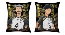 004_hqkvs_1_20160118