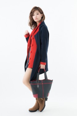 026kekkaiBAG_20160215