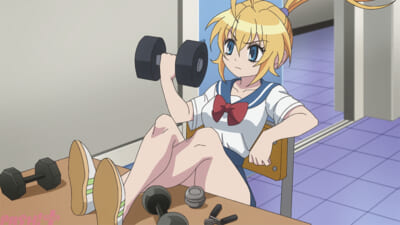 DD_009_main01