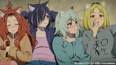 yanineko_OP-03_c