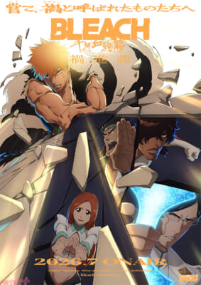bleach_kv_fix_re_light