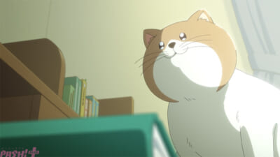 seihantai (1)