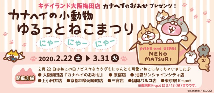 202002kanahei_neko_kokuchi