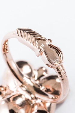 20151029_0356_hksga_2_20160108