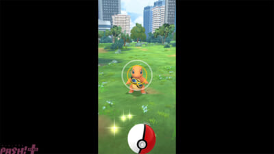 PokeGO_WEB_02