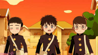 pash (4)