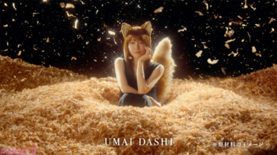 「帰ってきたどんぎつね-篇」　-(2)