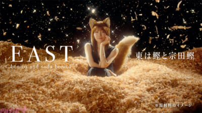 「帰ってきたどんぎつね-篇」　-(3)