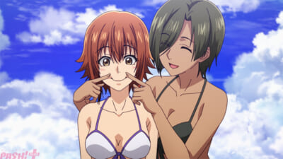 本PV7