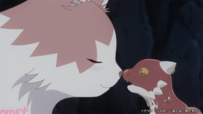 nekoryuu_Teaser-PV_02_c