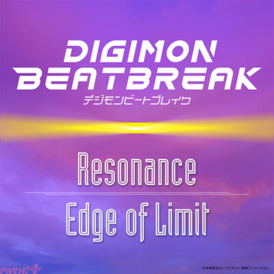DMBB_Resonance_digi_m