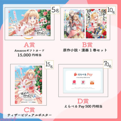 キャンペーン告知s