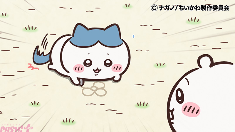 アニメ『ちいかわ』しっぽをパタパタさせるハチワレのかわいさに