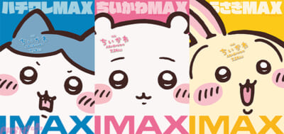 MAXビジュアル