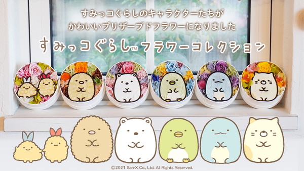 20210209_sumikko_001