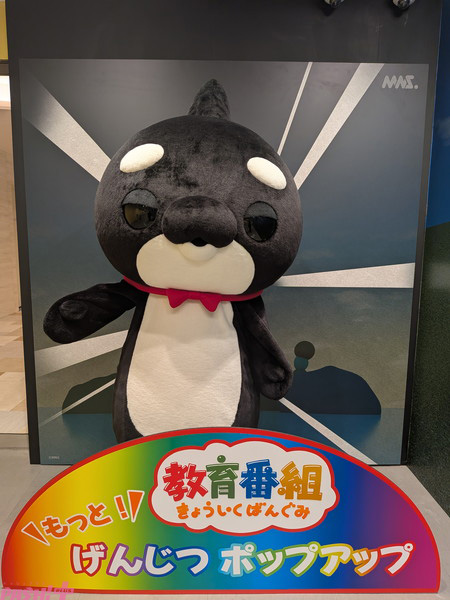 PXL_20251030_073131211