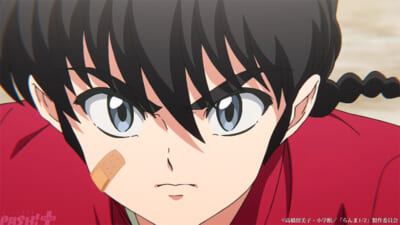 pash (1)