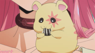 mt-(4)