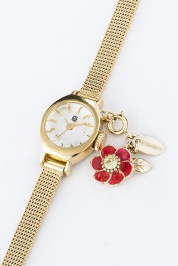 FBwatch_kizuna_20160623_080