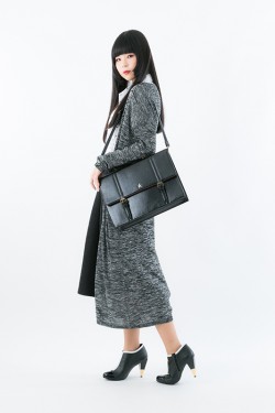 Na_LH_model_20160803_100