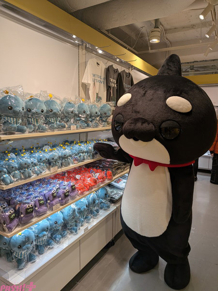 PXL_20251030_073101830