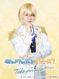 ansute_fine_20161124_1