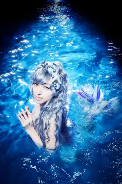 aoisyouta_20161107_6