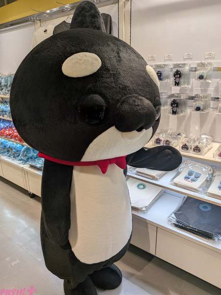 PXL_20251030_073342748