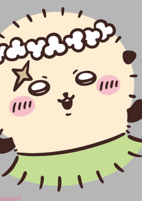 ラッコ