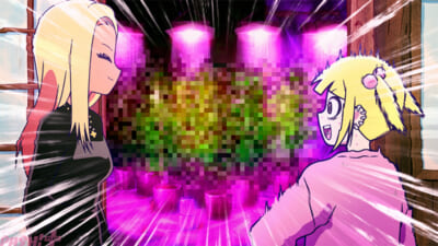 PV004