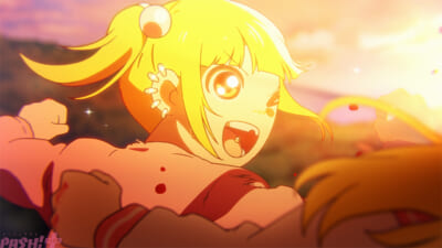 PV006