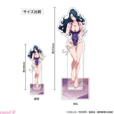 サイズ比較