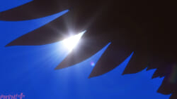 【盾の勇者】Season-5特報映像場面カット(3)