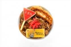 bunstnanjarepo_20160808_15