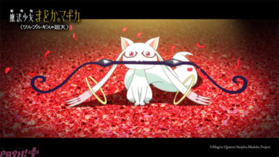 madoka_honyokoku_02