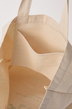 ccsakura_20160129026