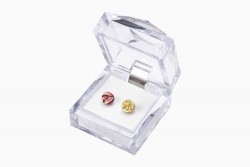 ccsakura_20171013_02