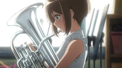 pash (3)