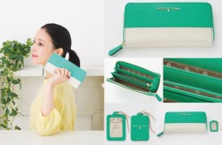 conan_wallet_20170206_3H