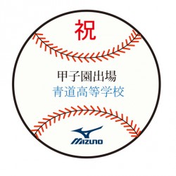 daiya20160401_004