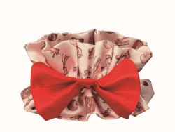 dispri_f_20160425_001