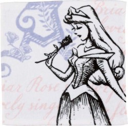 dispri_h_20160425_003