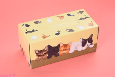 18.Coonyねこティッシュ　220組