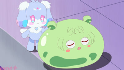 pash (6)