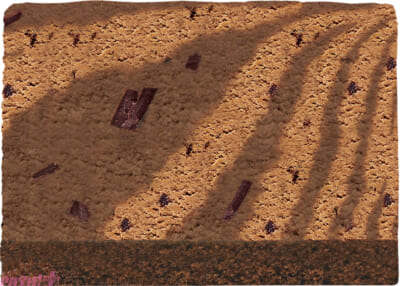 6.ポムポムプリン