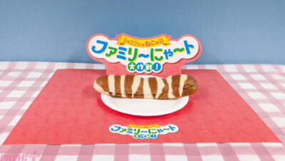 PXL_20260130_052749086