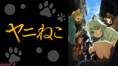 sub8