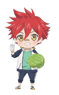 hanamaru_20161228_011